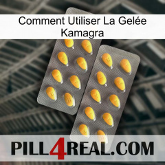 Comment Utiliser La Gelée Kamagra cialis2